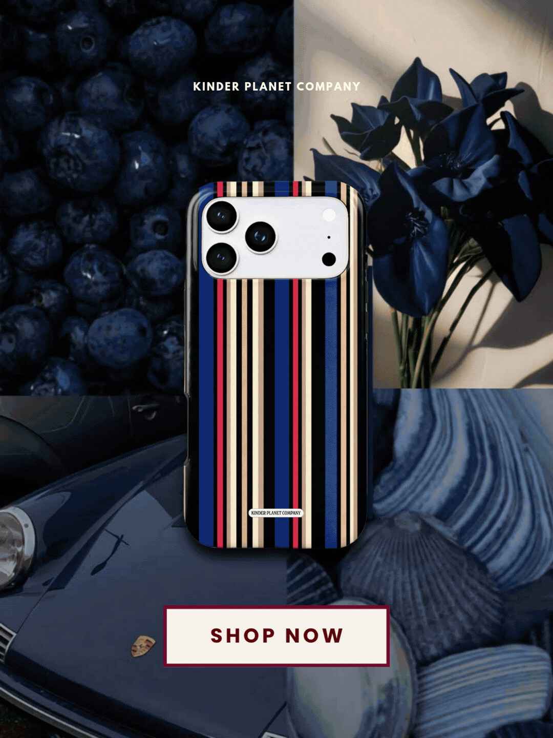 An image added to the post.